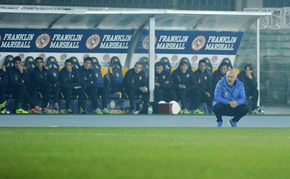 Mandorlini urla e sbraita: ma il Verona si ferma davanti all&#39;Inter. Ansa